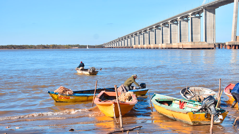 Isla de los Mástiles 1 web