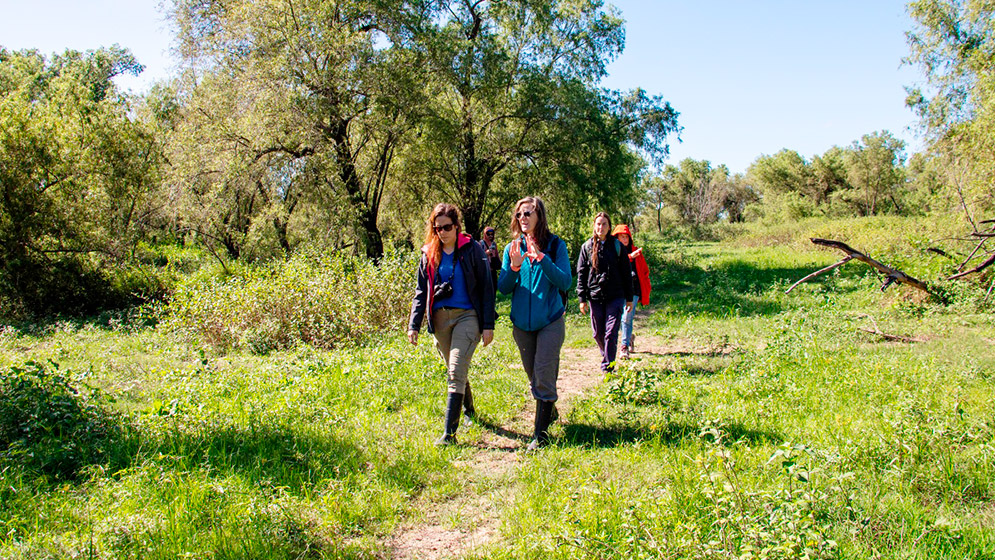 Isla de los Mástiles 3 web