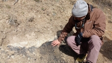 CIENCIA Y AMBIENTE. Especialistas del CONICET lideran estudios para el Manejo de Riesgos y Restauración ambiental tras los incendios en la Patagonia